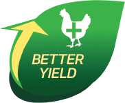 IFB Agro