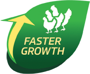 IFB Agro