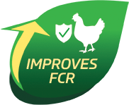 IFB Agro