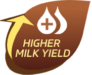 IFB Agro