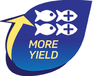 IFB Agro