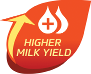 IFB Agro
