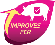 IFB Agro
