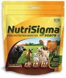 IFB Agro