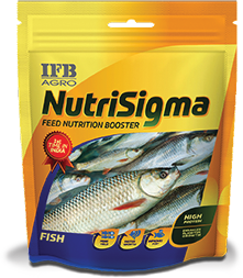 IFB Agro