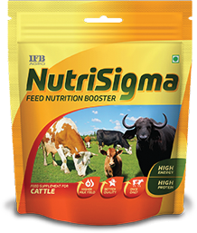 IFB Agro
